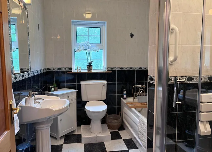 The Self Catering *